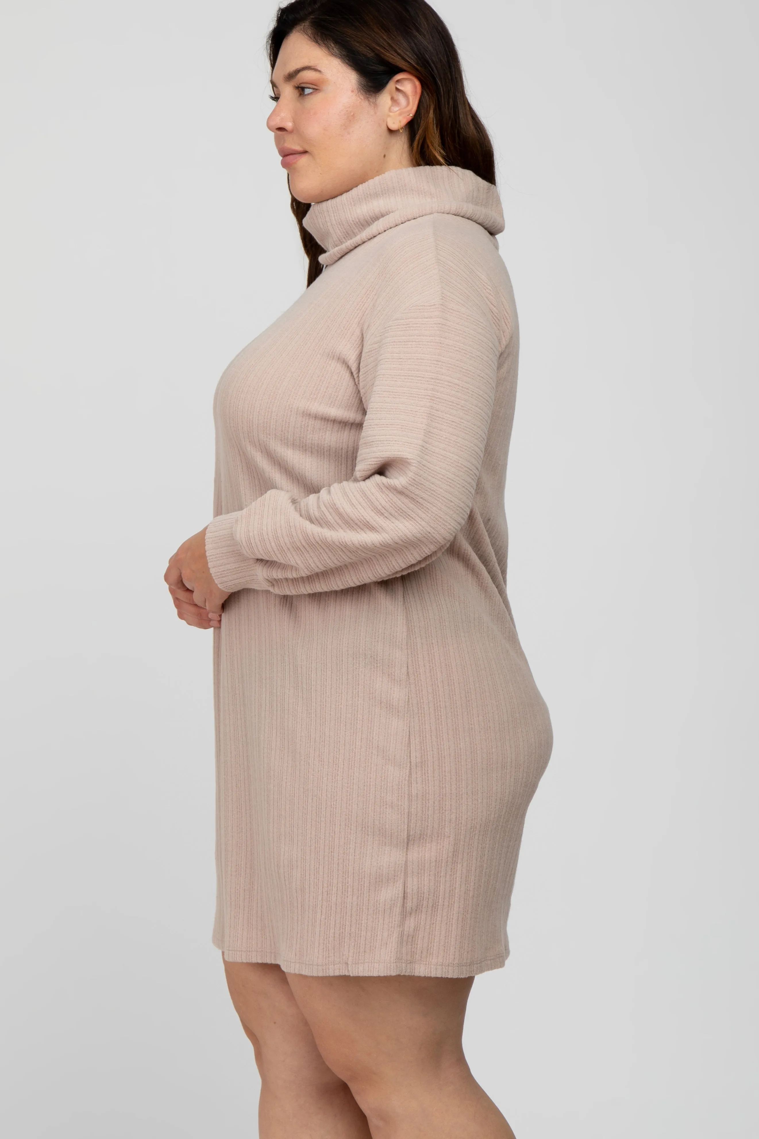 Beige Brushed Rib Turtleneck Plus Dress