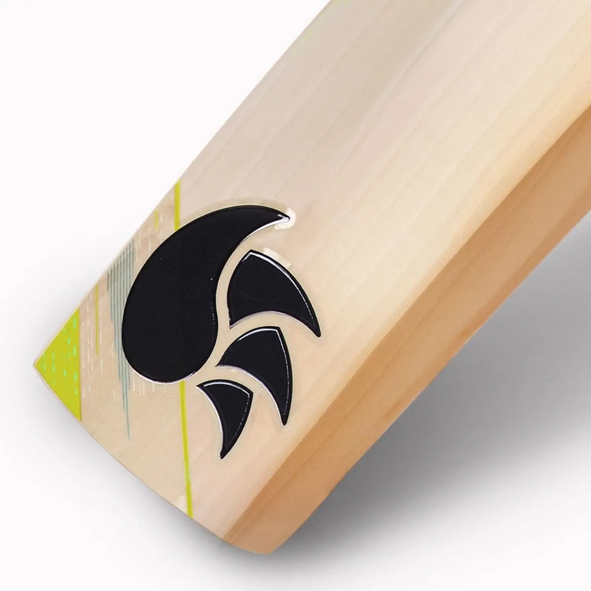 DSC Condor Motion Junior Cricket Bat