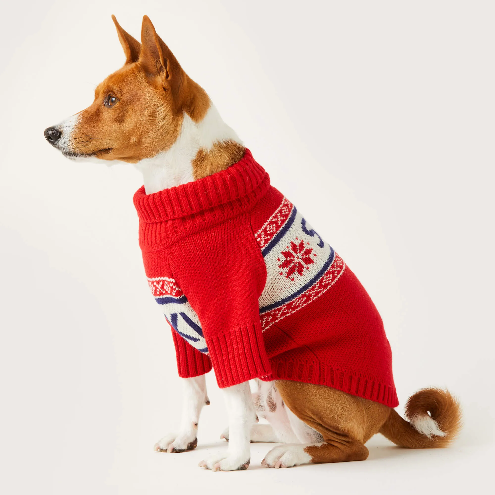 Gray Malin x TFD Après Ski Dog Sweater