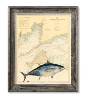 Vineyard Sound and Buzzards Bay with Bluefin tuna -old chart